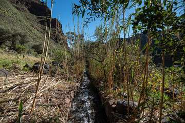 El Cabildo organiza recorridos por este monumento natural para dar a conocer su historia y sus riquezas (Foto TA)